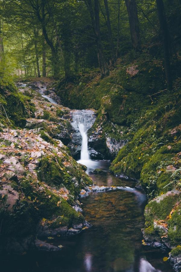 Domecek Na Kvetinovem Statku Villa Zdice Luaran gambar